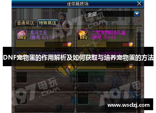 DNF宠物蛋的作用解析及如何获取与培养宠物蛋的方法 DNF宠物蛋的作用解析及如何获取与培养宠物蛋的方法